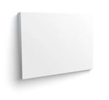 Single Canvas bk