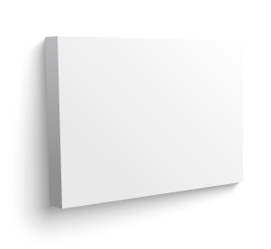 Single Canvas